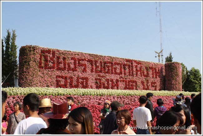 เชียงรายดอกไม้งามครั้งที่ 7